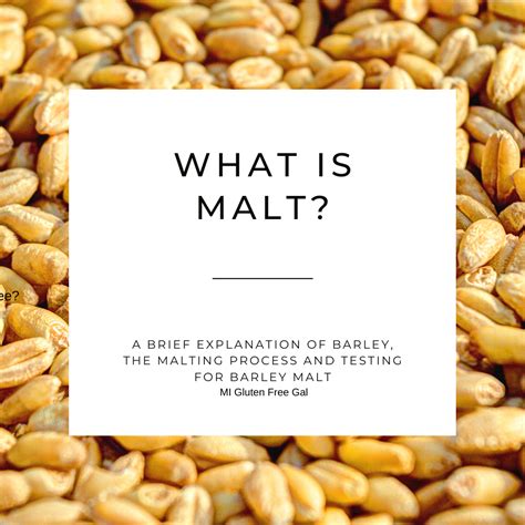 is malt gluten-free